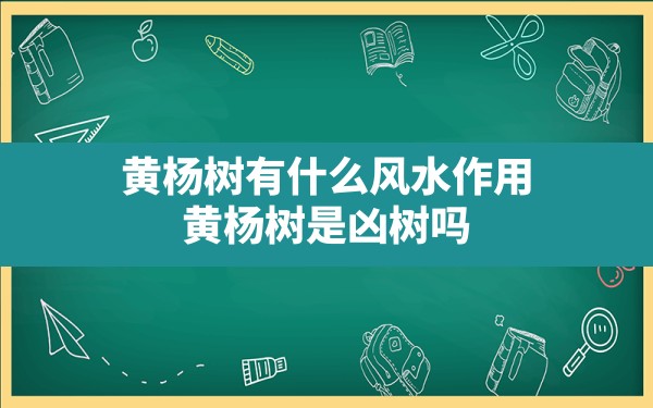 黄杨树有什么风水作用,黄杨树是凶树吗 - 一测网