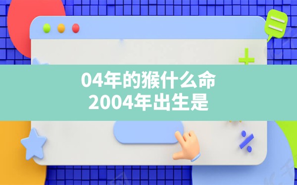 04年的猴什么命(2004年出生是什么命金木水火土) - 一测网