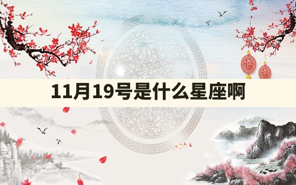 11月19号是什么星座啊 - 一测网