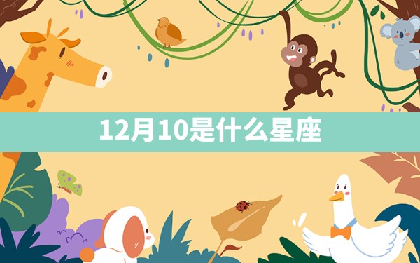 12月10是什么星座 - 一测网