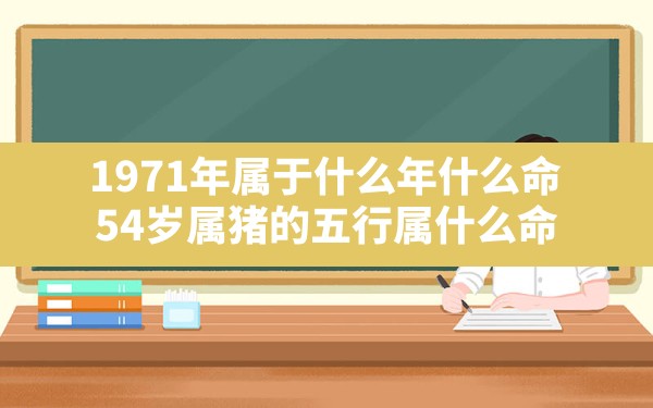 1971年属于什么年什么命,54岁属猪的五行属什么命 - 一测网