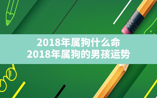 2018年属狗什么命(2018年属狗的男孩运势) - 一测网