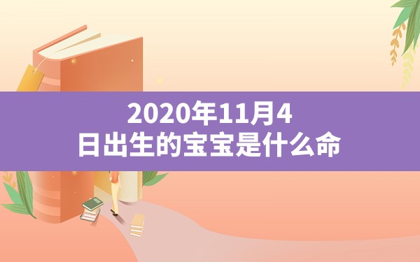 2020年11月4日出生的宝宝是什么命(11月出生的天蝎座什么命) - 一测网