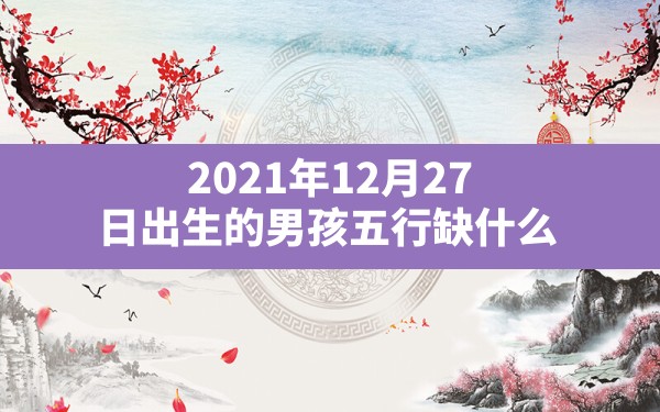 2021年12月27日出生的男孩五行缺什么(五行丙寅八字喜有己酉什么意思) - 一测网