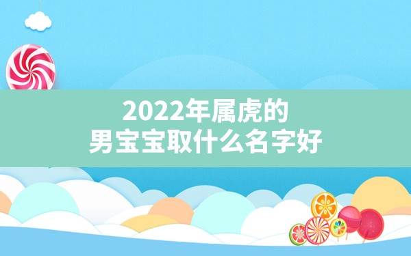 2022年属虎的男宝宝取什么名字好,2022虎年取名最旺男孩名字 - 一测网