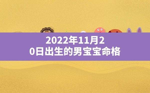 2022年11月20日出生的男宝宝命格,2022年四月27号出生的男孩五行 - 一测网