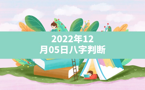 2022年12月05日八字判断(壬寅辛亥辛亥壬辰) - 一测网