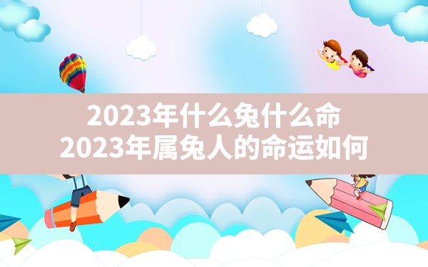 2023年什么兔什么命,2023年属兔人的命运如何 - 一测网