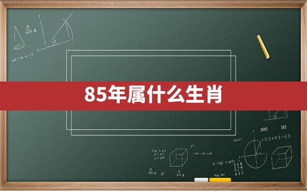 85年属什么生肖 - 一测网