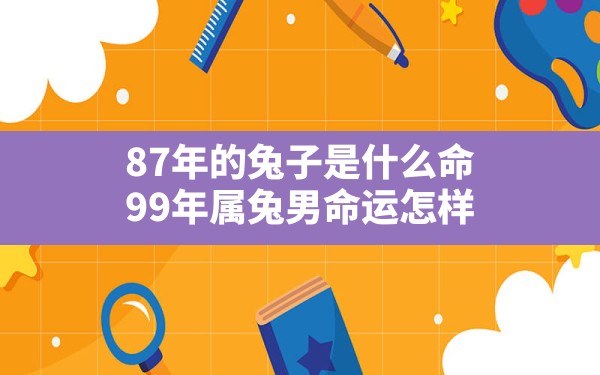 87年的兔子是什么命,99年属兔男命运怎样 - 一测网