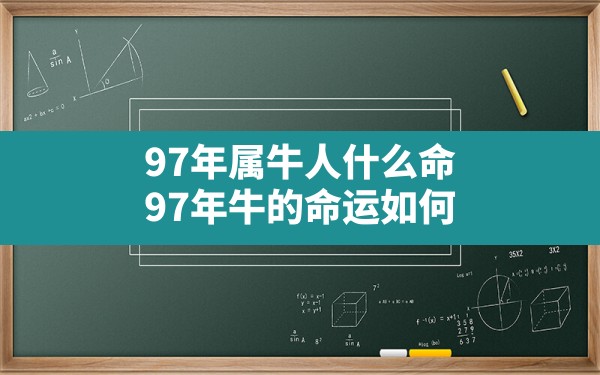 97年属牛人什么命,97年牛的命运如何 - 一测网