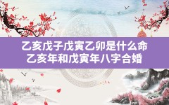 乙亥戊子戊寅乙卯是什么命_乙亥年和戊寅年八字合婚