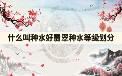 什么叫种水好,翡翠种水等级划分