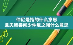 仲尼是指的什么意思,且夫我尝闻少仲尼之闻什么意思