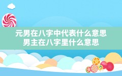 元男在八字中代表什么意思,男主在八字里什么意思