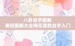 八卦自学图解,易经图解大全梅花易数自学入门