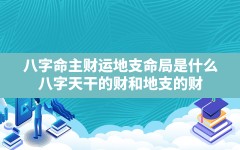 八字 命主 财运 地支 命局是什么_八字天干的财和地支的财