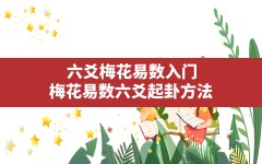 六爻梅花易数入门,梅花易数六爻起卦方法