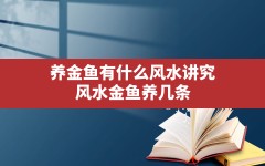 养金鱼有什么风水讲究,风水金鱼养几条