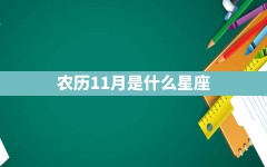 农历11月是什么星座