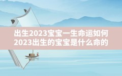 出生2023宝宝一生命运如何_2023出生的宝宝是什么命的