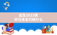 出生2023癸卯己未五行缺什么(2023年7月出生的人命怎样)