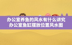 办公室养鱼的风水有什么讲究,办公室鱼缸摆放位置风水图