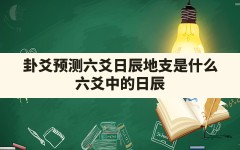 卦爻预测六爻日辰地支是什么(六爻中的日辰)