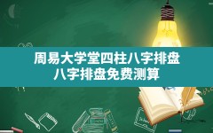 周易大学堂四柱八字排盘,八字排盘免费测算四柱生辰八字起名