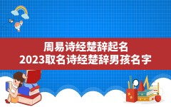 周易诗经楚辞起名,2023取名诗经楚辞男孩名字