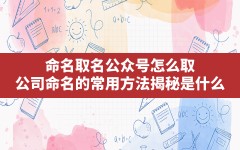 命名取名公众号怎么取(公司命名的常用方法揭秘是什么)