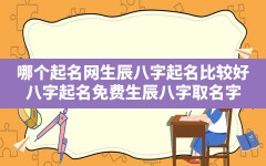 哪个起名网生辰八字起名比较好,八字起名免费生辰八字取名字