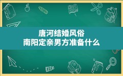 唐河结婚风俗,南阳定亲男方准备什么