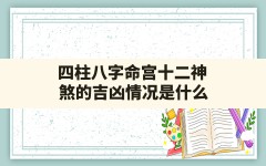 四柱八字命宫十二神煞的吉凶情况是什么(命宫神煞和四柱神煞)