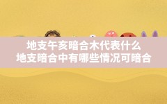 地支午亥暗合木代表什么,地支暗合中有哪些情况可暗合?