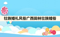 壮族婚礼风俗,广西田林壮族婚俗