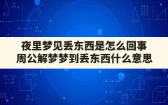 夜里梦见丢东西是怎么回事,周公解梦梦到丢东西什么意思