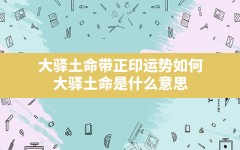 大驿土命带正印运势如何(大驿土命是什么意思)