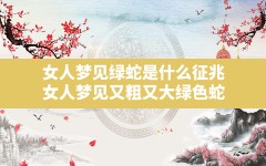 女人梦见绿蛇是什么征兆(女人梦见又粗又大绿色蛇)