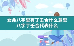 女命八字里有丁壬合什么意思(八字丁壬合代表什么)