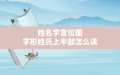 姓名学宫位图_字形姓氏上半部怎么读