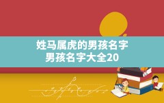 姓马属虎的男孩名字,男孩名字大全2022最新版的属虎