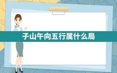 子山午向五行属什么局