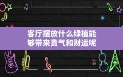 客厅摆放什么绿植能够带来贵气和财运呢,客厅鸿运当头盆栽的摆放