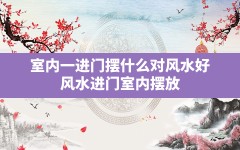 室内一进门摆什么对风水好,风水进门室内摆放