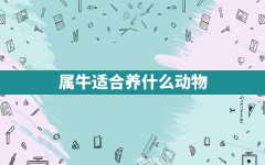 属牛适合养什么动物