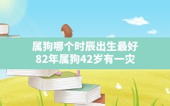 属狗哪个时辰出生最好,82年属狗42岁有一灾