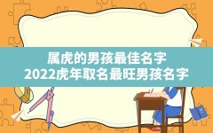 属虎的男孩最佳名字,2022虎年取名最旺男孩名字