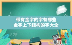 带有金字的字有哪些,金字上下结构的字大全