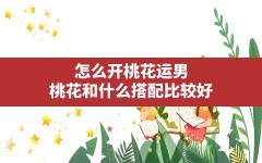 怎么开桃花运男,桃花和什么搭配比较好